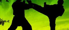 tae-kwon-do-em-sumare-1445278338