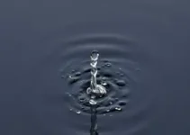 água escura Sumaré