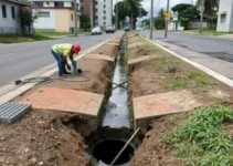 reparos boca de lobo