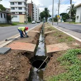reparos boca de lobo