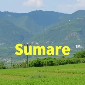 Adere vagas emprego Sumaré
