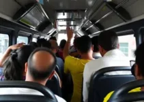 ônibus lotados linha 659