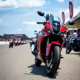 festival interlagos