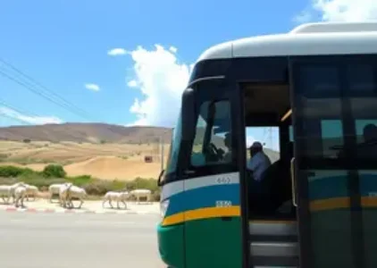Últimas noticias de Sumaré