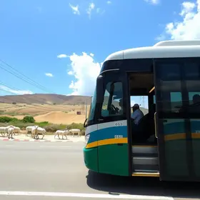 ônibus da linha 660