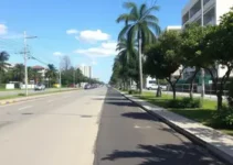 Av. Pau Brasil