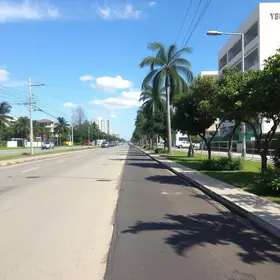 Av. Pau Brasil