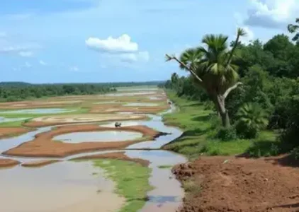 falta d'água
