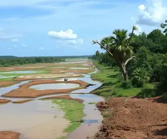 falta d'água