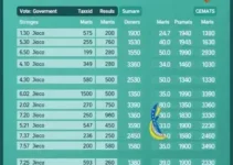 resultados apuração Sumaré SP