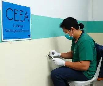 atendimento do CTEA
